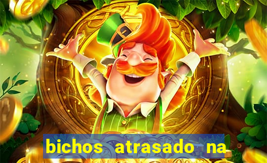 bichos atrasado na loteria dos sonhos